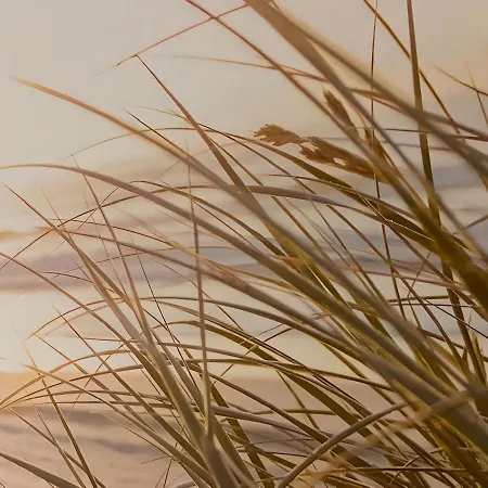 アパート 1 Slaapkamer Logie Met Extra Zetelbed In Leefruimte ミデルケルケ